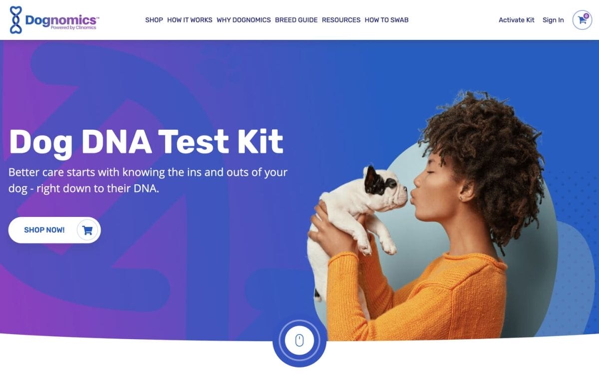 5 Best eCommerce Website Examples & Expert Guide To Creating A Site That Converts 9 best ecommerce websites dognomics featured image
