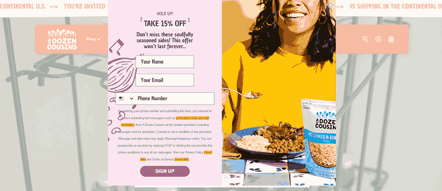 A Dozen Cousins website screenshot