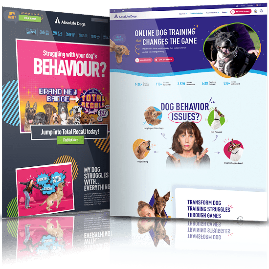 AbsoluteDogs before after
