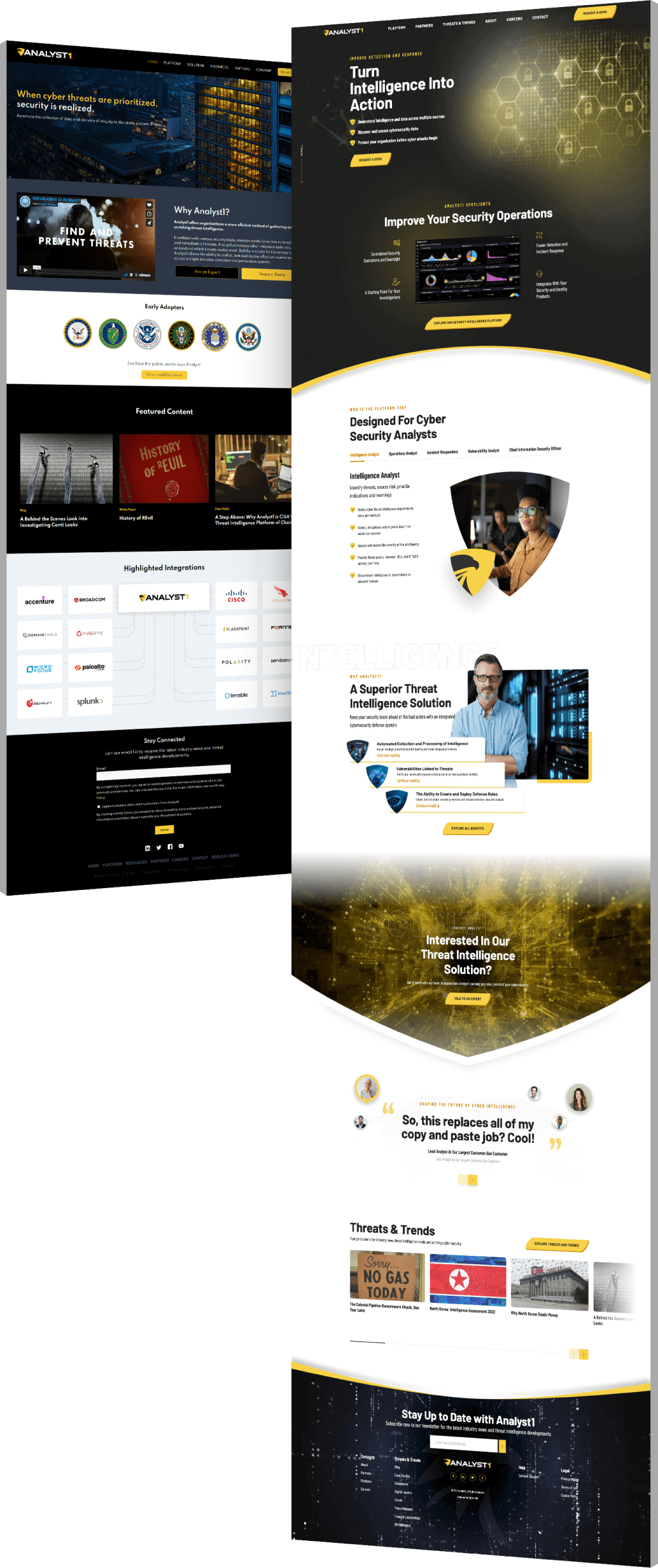 Image showing the before and after of Analyst 1's website design