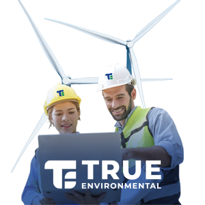 true environmental