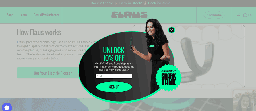 Flaus website screenshot