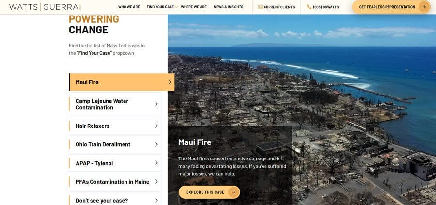 Watts Guerra's case study website section