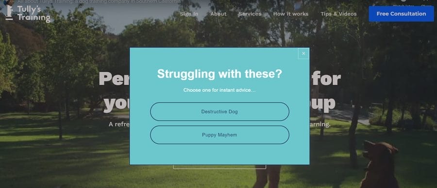 Tully’s Training website screenshot