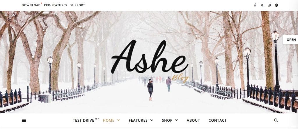 Ashe WordPress theme in action