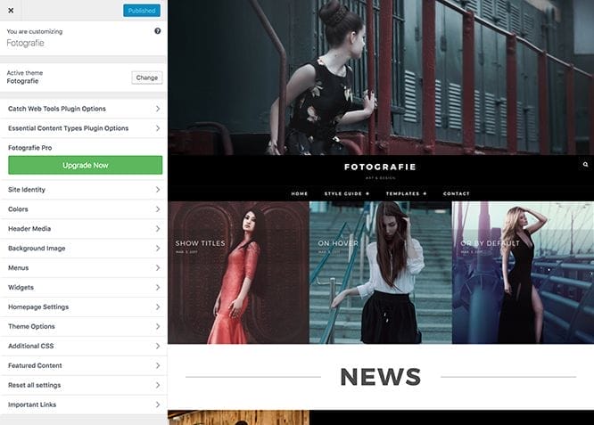 Fotografie WordPress theme in action