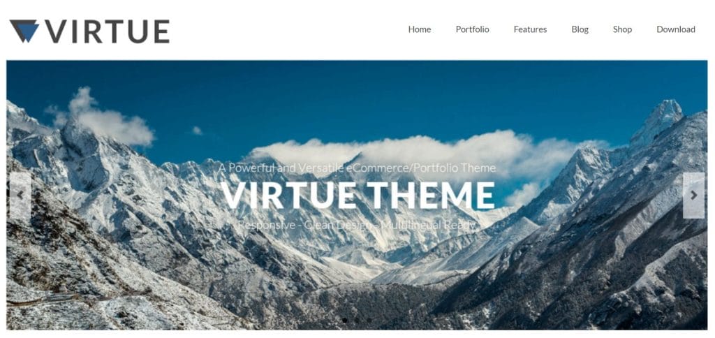 Virtue website homepage
