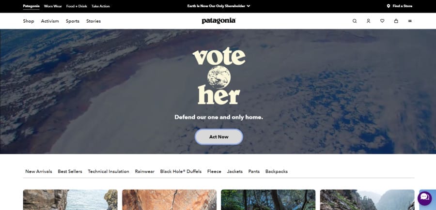 Patagonia website screenshot