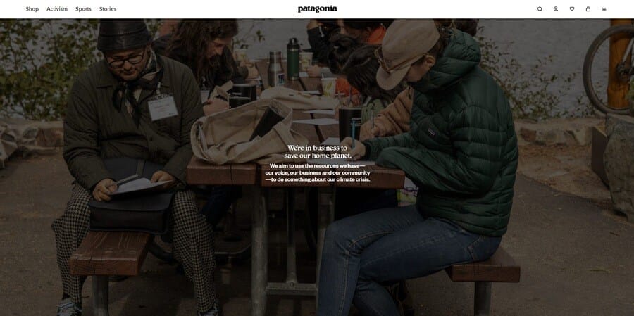 Patagonia website screenshot