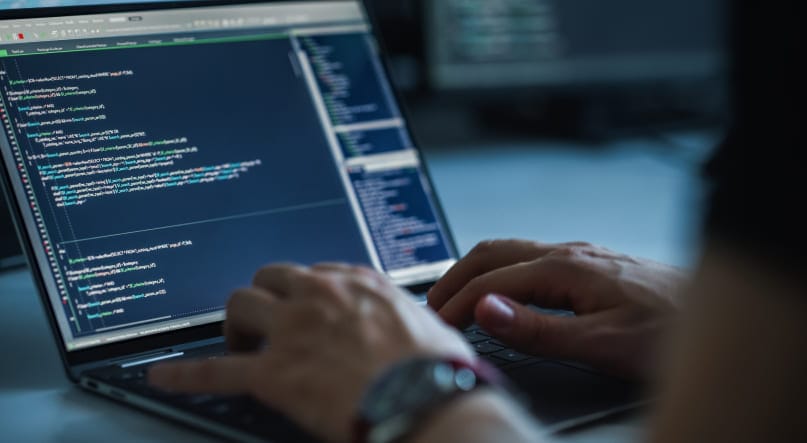 An expert providing custom software development as a business growth consulting service