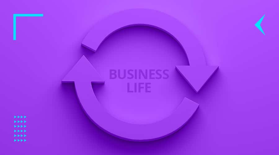 business-life-cycle