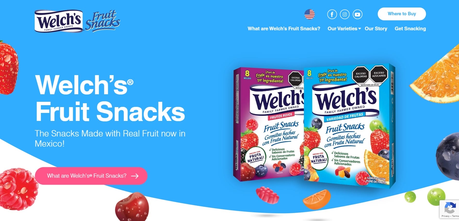 Welch's Fruit Snacks website screenshot