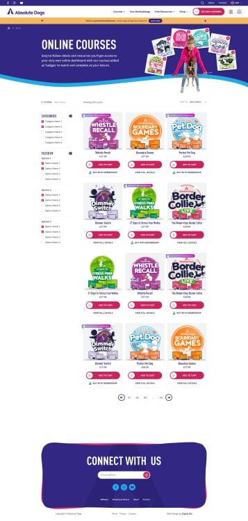 digital silk custom website design company absolute dogs full 3