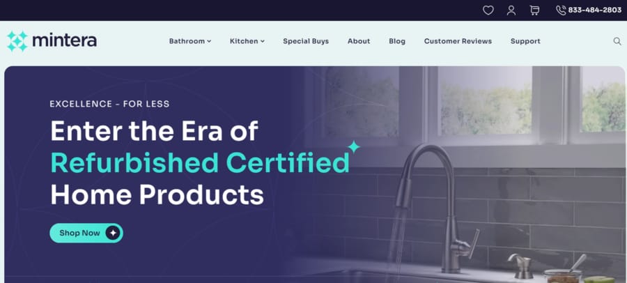 Mintera website screenshot