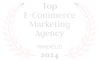 ecommerce agencies 2024 1 1