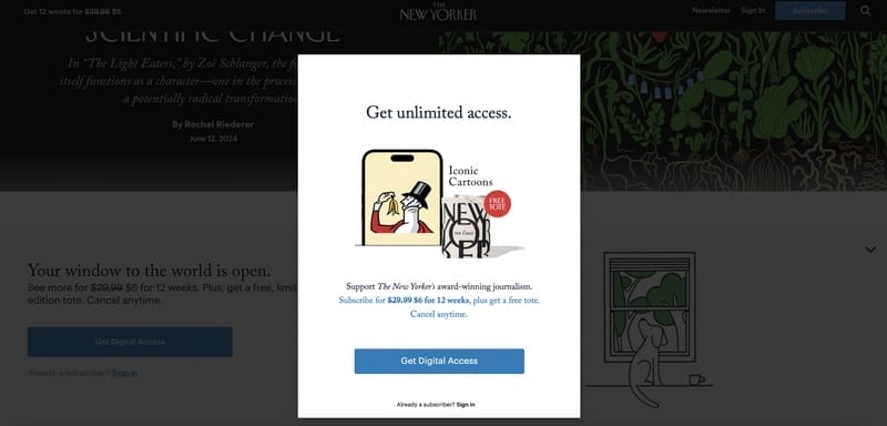 ecommerce growth strategy new yorker