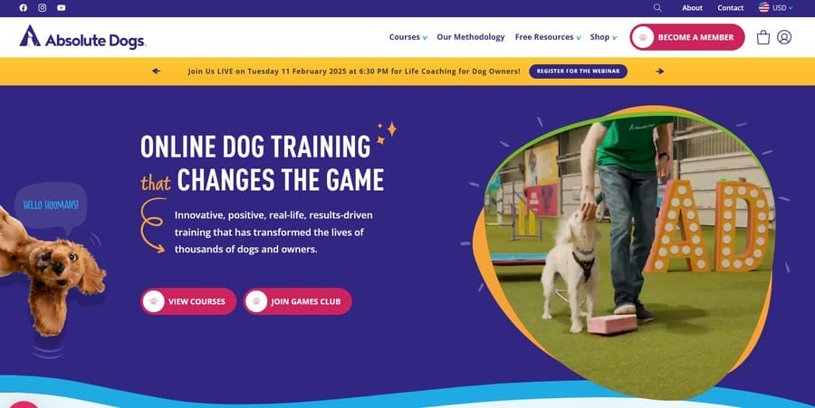 Absolute Dogs website screenshot