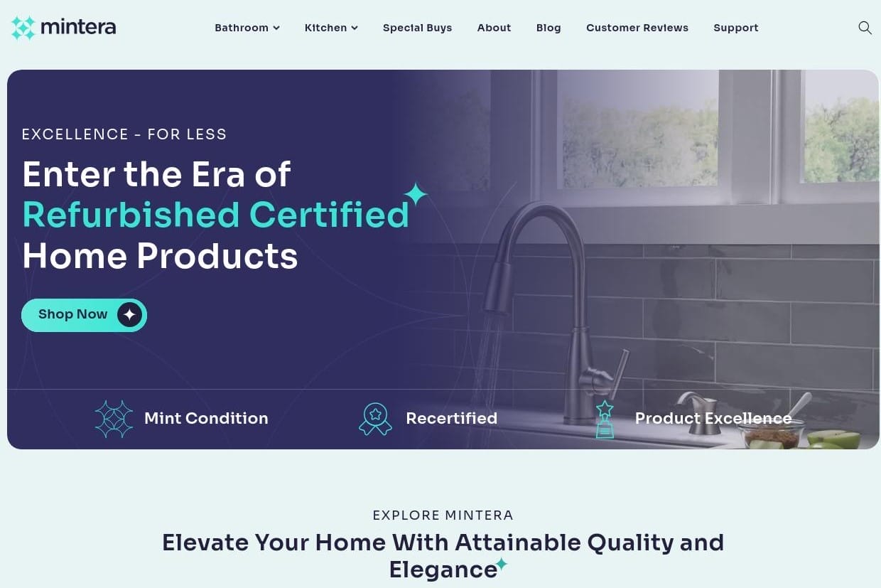 Mintera Website Screenshot