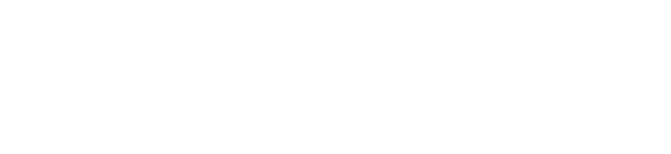 National Aviation logo