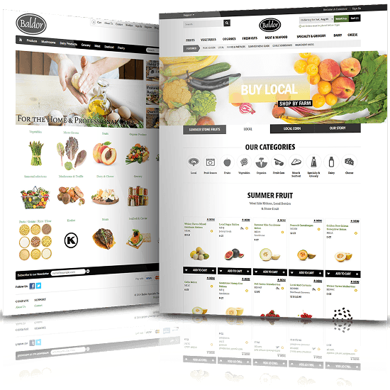 Before and after ecommerce website design for Baldor featuring enhanced navigation and product catalog for food distribution.