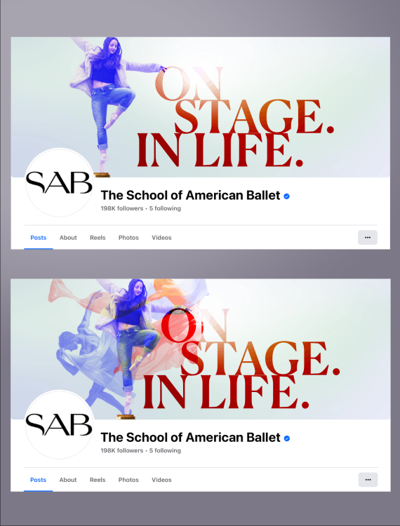 SAB's branding materials