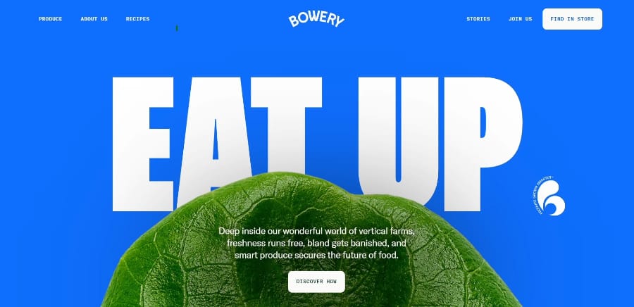 small business websites bowery