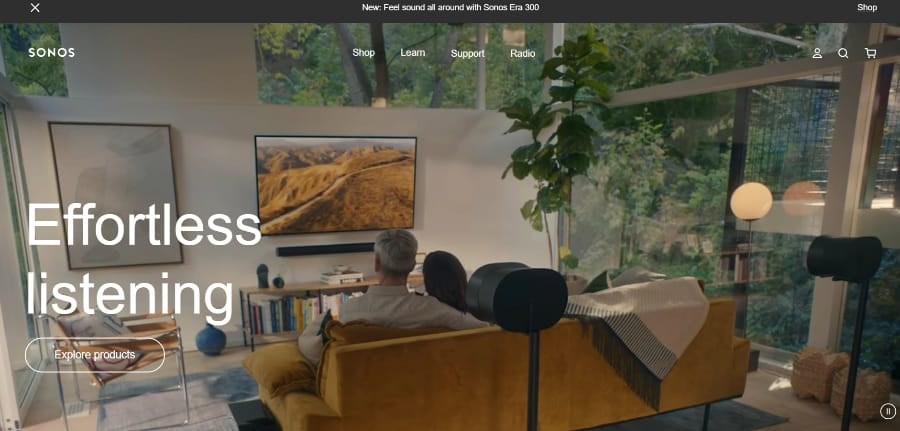 small business websites sonus