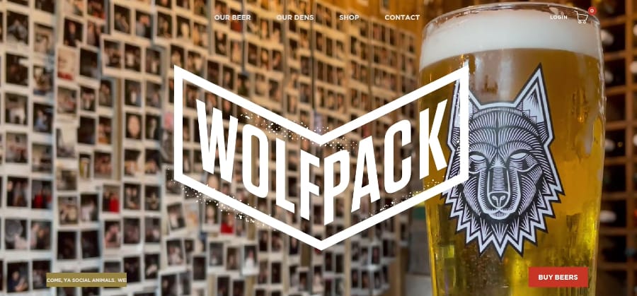small business websites wolfpack
