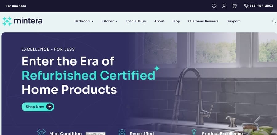 Mintera website screenshot