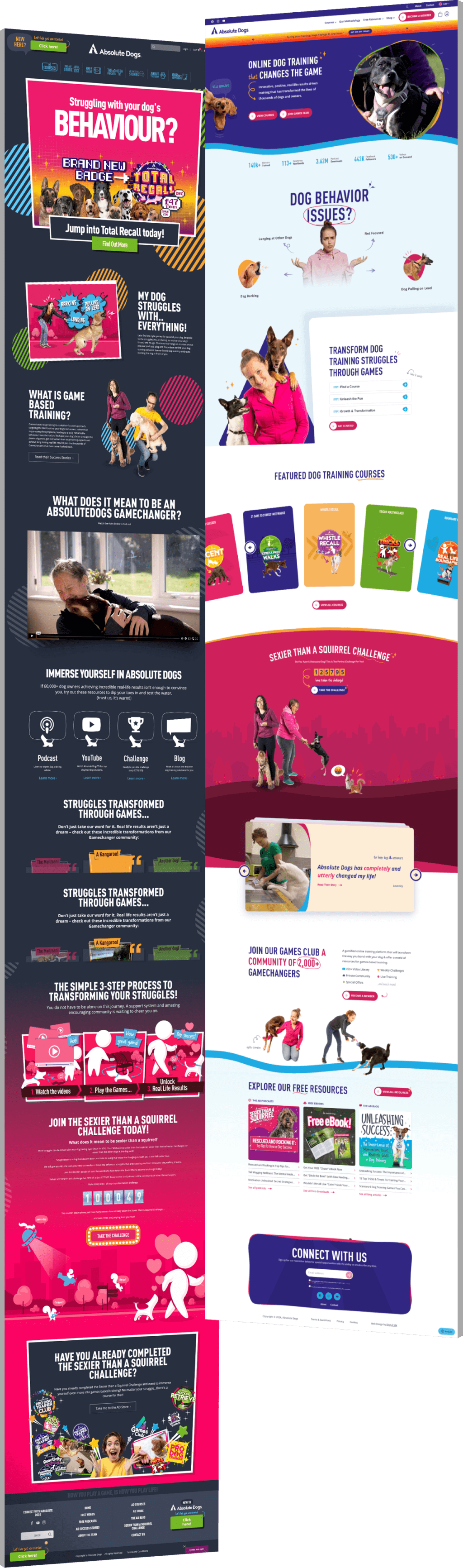 Before After 1 Image showing the before and after of Absolute Dogs' website design