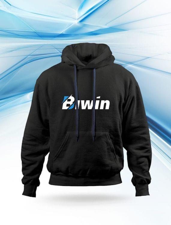 BIWIN's branding materials