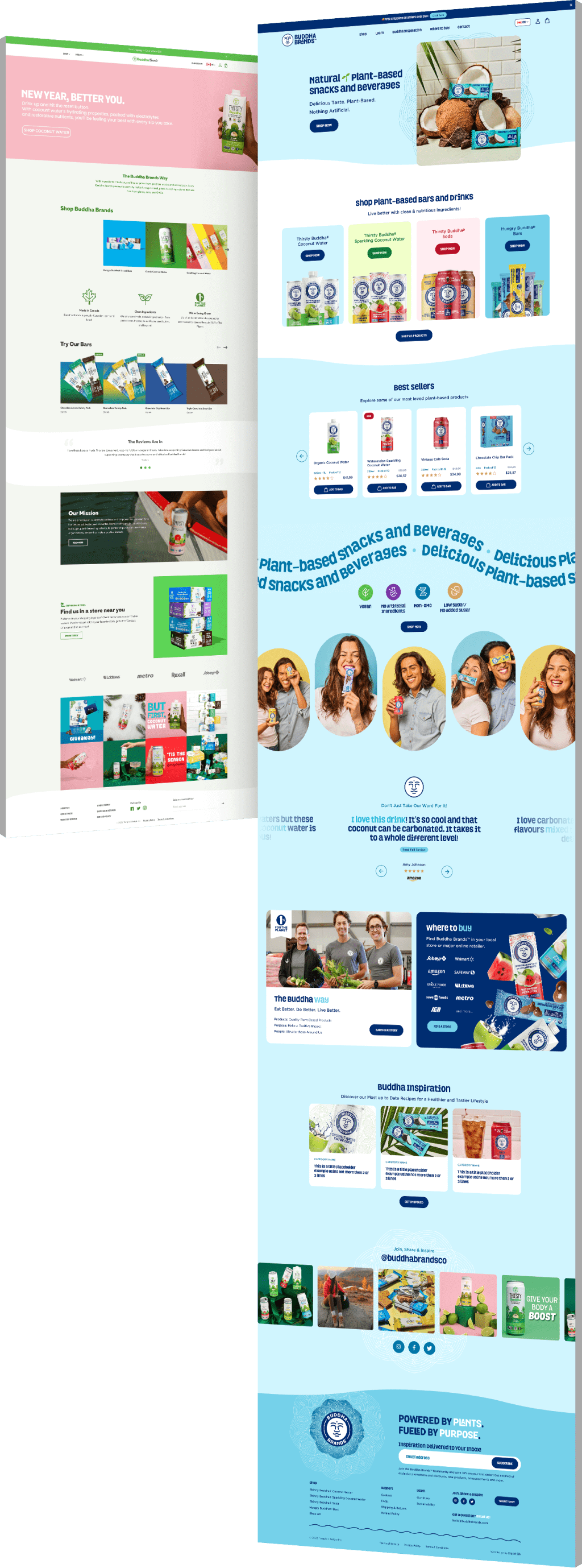 Image showing the before and after of Buddha Brands' website design