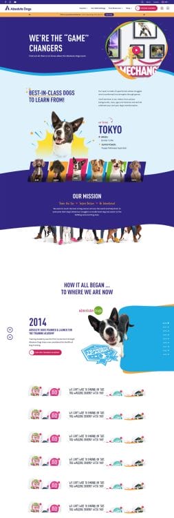 Absolute Dogs' website design