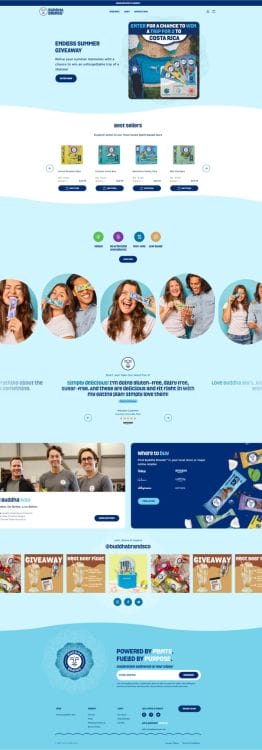 Buddha Brands' website design