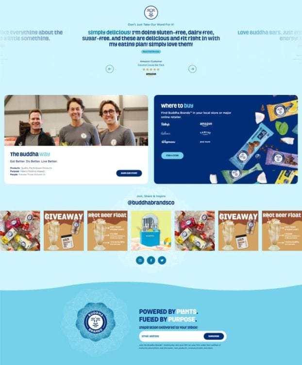 Buddha Brands' website design
