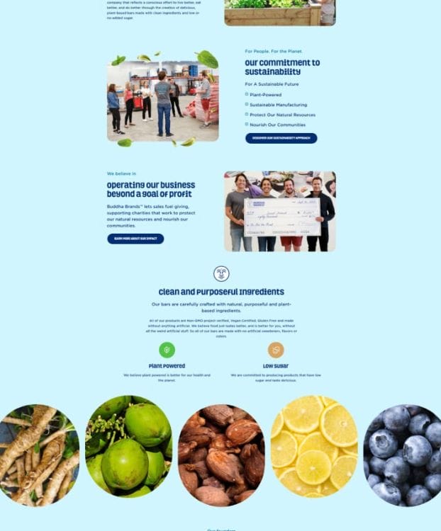 Buddha Brands' website design