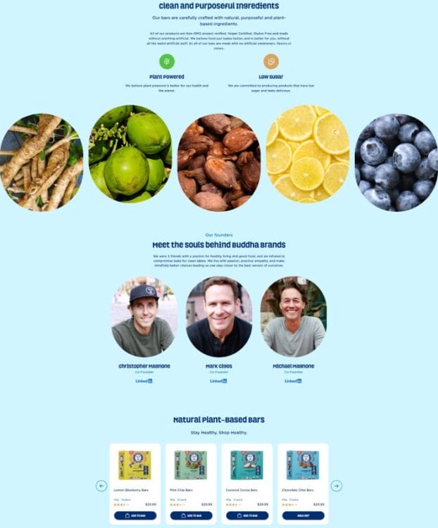 Buddha Brands' website design