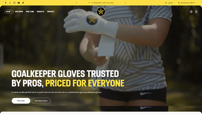 Sports & Entertainment Web Design 25 Gold Star Goalkeeping website screenshot