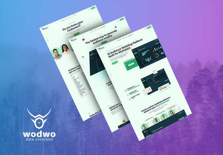 Website design showcasing data platform features