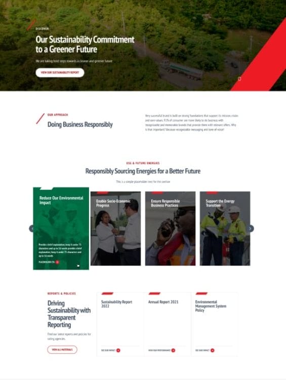 Puma Energy's website design