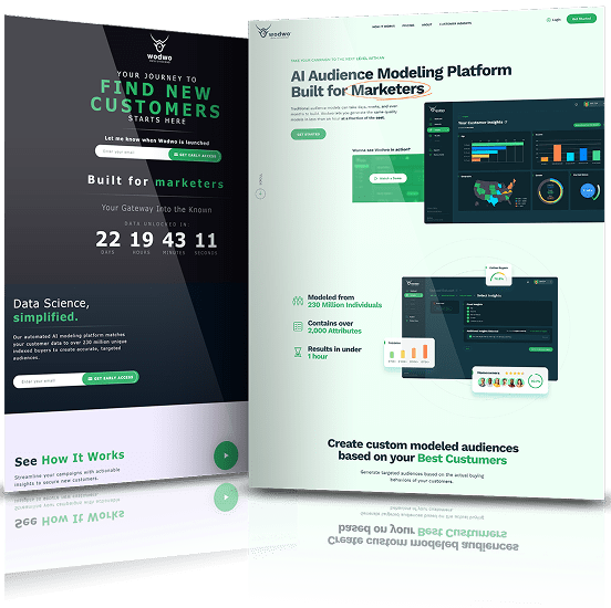 Wodwo website redesign transforming a data-driven marketing platform into a sleek, user-friendly experience with advanced audience analytics visuals.